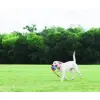 Chuckit! Rope Fetch [32220]