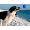 Kiwi Walker Let's Play Ball Mini piłka niebieska