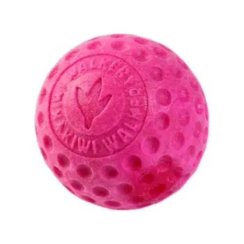 Kiwi Walker Let's Play Ball Mini piłka różowa
