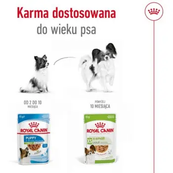 Royal Canin X-Small Adult w sosie saszetka 85g