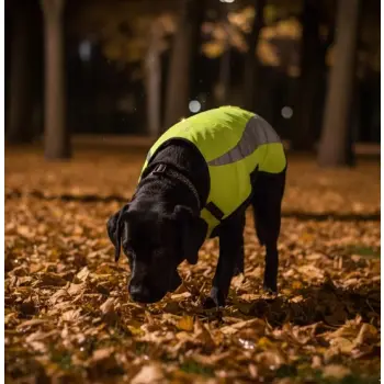 Zolux Kamizelka odblaskowa R.50 żółta