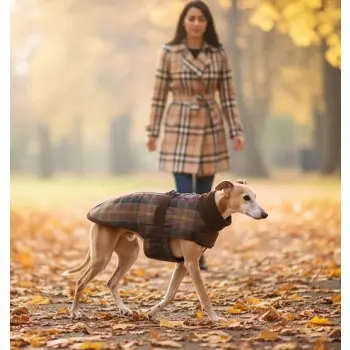 Zolux Kurtka w kratę dla psa Cheverny R.35 brązowa