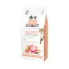 Brit Care Cat Grain-Free Sensitive Healthy Digestion & Delicate Taste Z Indykiem I Łososiem 7kg