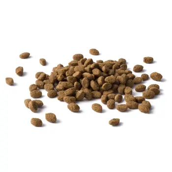 Purina Cat Chow Sterilised Bogata w Kurczaka 1,5kg + 2 Saszetki Gratis