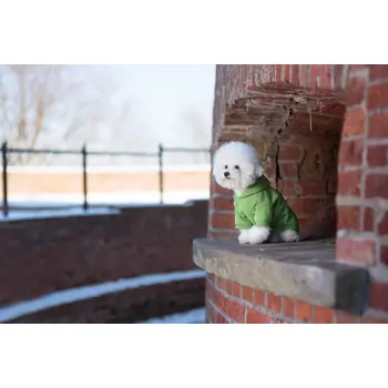 AMIPLAY Bluza Z Kapturem Texas Czerwona 40cm