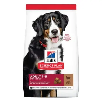 Hill's SP Science Plan Canine Adult Large Breed Jagnięcina i Ryż 14kg