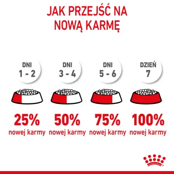 ROYAL CANIN Kitten 10kg