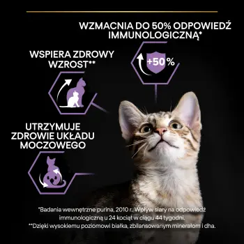 Purina Pro Plan Original Kitten Kurczak Z Ryżem 10kg