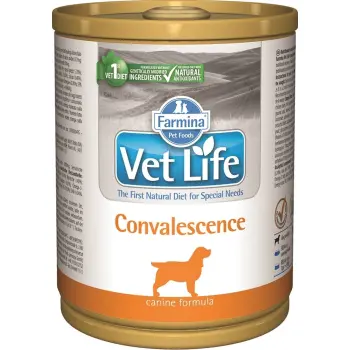 Farmina Vet Life Canine Convalescence 300g