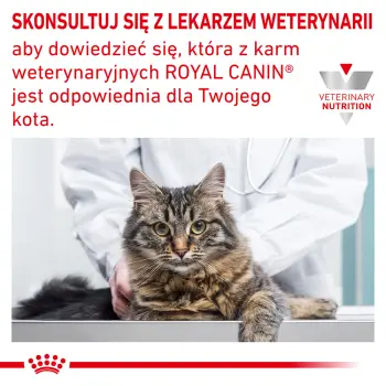 ROYAL CANIN Veterinary Renal Hypoallergenic Feline 400g