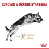 ROYAL CANIN German Shepherd Adult 5+ 3kg