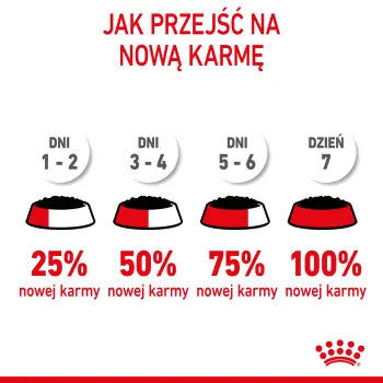 ROYAL CANIN Kitten Pasztet 12x85g