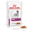 ROYAL CANIN Renal 12x100g