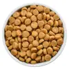 Hill's PD Prescription Diet Canine u/d 5kg