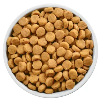 Hill's PD Prescription Diet Canine u/d 5kg