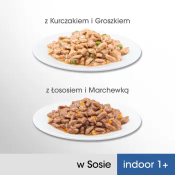 PERFECT FIT Indoor 1+ Z Kurczakiem I Groszkiem, Z Łososiem I Marchewką 4x85g