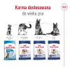 ROYAL CANIN Maxi Ageing 8+ 15kg