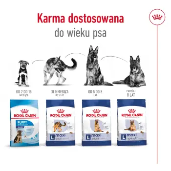 ROYAL CANIN Maxi Ageing 8+ 15kg