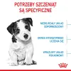 ROYAL CANIN Mini Puppy 800g