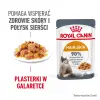 ROYAL CANIN Intense Beauty Gelee 12x85g