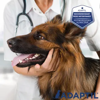 Ceva Animal Health Polska Sp. Z O.o. Adaptil Wkład Dyfuzora 48ml