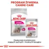 ROYAL CANIN CCN Mini Exigent 3kg