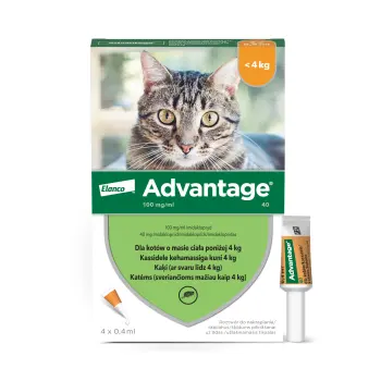 Bayer Advantage Roztwór Do Nakrapiania Dla Kotów 4x0,4ml