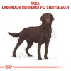 ROYAL CANIN Labrador Retriever Sterilised 12kg