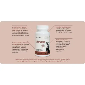 Lab-v Glandala Wsparcie Gruczołów Okołoodbytowych i Przewodu Pokarmowego 45 Kapsułek
