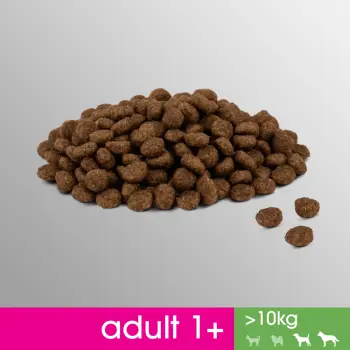 PERFECT FIT Adult 1+ Duże Rasy Z Kurczakiem 825g