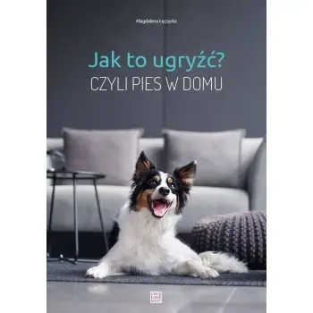 JAK TO UGRYŹĆ? CZYLI PIES W DOMU