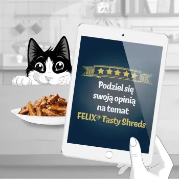 Felix Tasty Shreds Karma Dla Kota Z Łososiem I Tuńczykiem W Sosie 4x80g