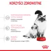 ROYAL CANIN Mother & Babycat 4kg