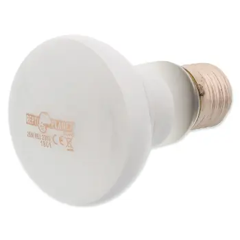 REPTI PLANET Żarówka Daylight Frosted 25W