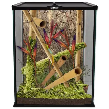 REPTI PLANET Terrarium Szklane 20x20x30cm