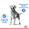 ROYAL CANIN CCN Medium Light Weight Care 12kg