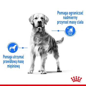 ROYAL CANIN CCN Medium Light Weight Care 12kg