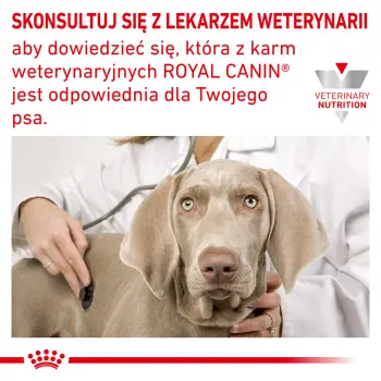 ROYAL CANIN Hypoallergenic 2kg