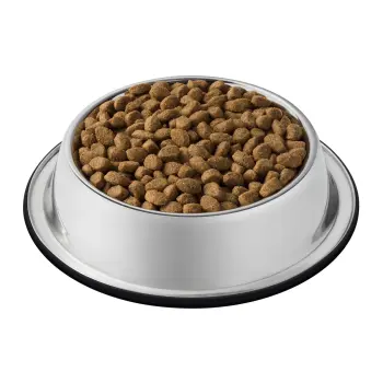 Purina Cat Chow Sterilised Bogata w Kurczaka 1,5kg + 2 Saszetki Gratis