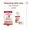 ROYAL CANIN Medium Adult 15kg