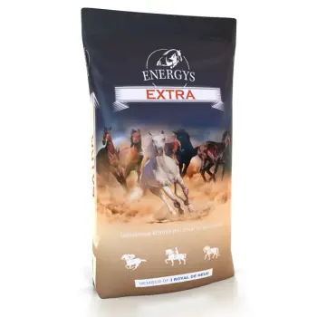 Energys Extra 25kg