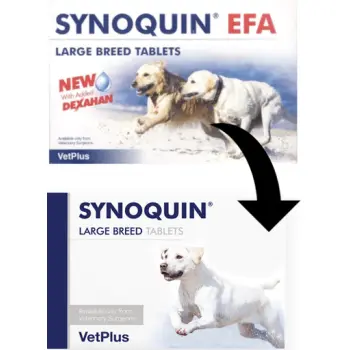 VetPlus Synoquin Efa Large Breed 30tab