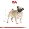 ROYAL CANIN Pug Adult 500g