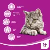 WHISKAS Karma Sucha Dla Kota Po Sterylizacji 1+ Sterile Z Kurczakiem 14kg