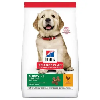 Hill's SP Science Plan Canine Puppy Large Breed Kurczak 14,5kg