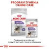 ROYAL CANIN CCN Mini Sterilised 8kg