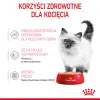 ROYAL CANIN Kitten Pasztet 12x85g