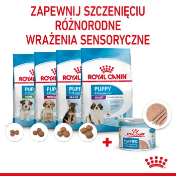 ROYAL CANIN Starter Mousse Mother & Babydog 195g