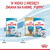 ROYAL CANIN Medium Starter Mother & Babydog 4kg