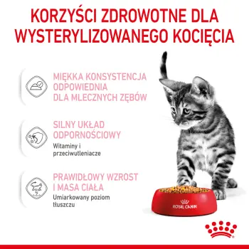 ROYAL CANIN Kitten Sterilised Gelee 12x85g